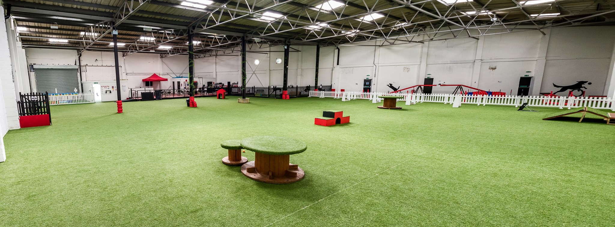 Action Petz | Indoor Dog Park in Cardiff, South Wales